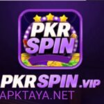 PKRSPIN